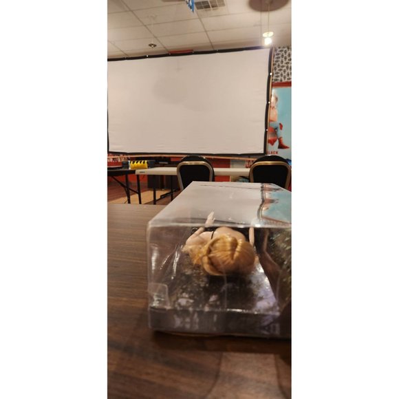 Barbie Collector The Twilight Saga: Breaking Dawn Part II Rosalie Doll: Part of - Picture 8 of 8